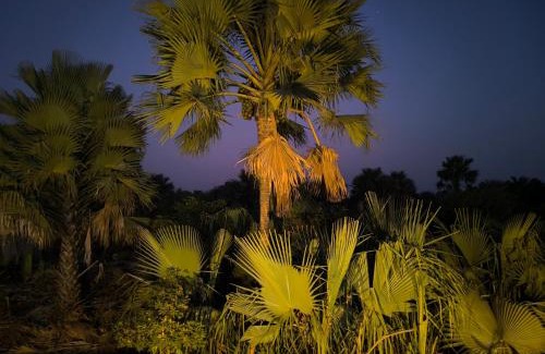 Gunjur Villa | Palm Breeze Villa