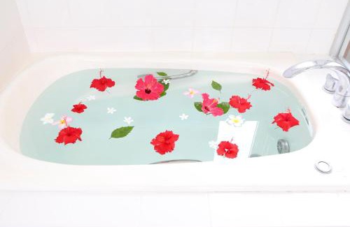 Miyara Villa | Palm Villa Ishigakijima igusa