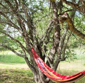 Kehtna Parish Ski Chalet | Paluküla tiny house Kuuse