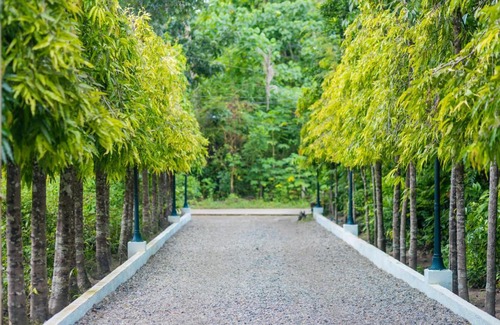 Looc Villa | Panglao villa family reunions