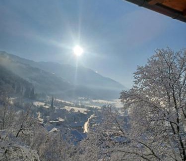 Bruck am Ziller Apartment | Panorama Apartment