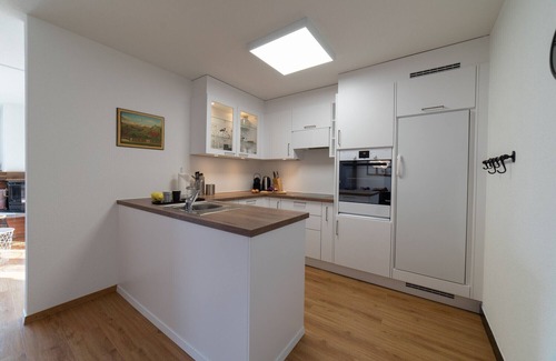 Wildhaus-Alt St. Johann Apartment | Panorama Blick 2.5-room holiday apartment with mountain view