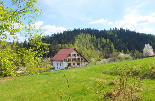 Korbielow House | Panorama