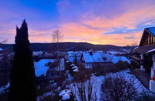 Neustadt Apartment | Panoramablick mit Privatparkplatz, 2 Balkone und 1,5 Bäder