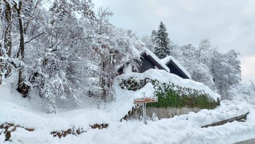 Ligosullo Ski Chalet | Panoramic House Carnia ,3 badroom chalet Ligosullo - Treppo Carnico - Paluzza - Zoncolan