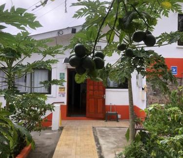 Mahe Island Villa | Papaya Guesthouse