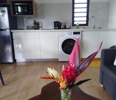 Teva I Uta House | Papeari sea side 1 Logement neuf en bord de mer