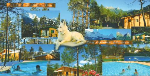Pra Loup Resort | Parc Résidentiel de Loisir : Le Loup Blanc du Riou