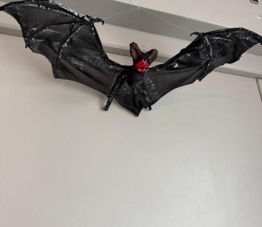 Boulevard des Poilus Apartment | Parenthèse nantaise, charmant T2 cosy et décoré, ambiance Halloween garantie