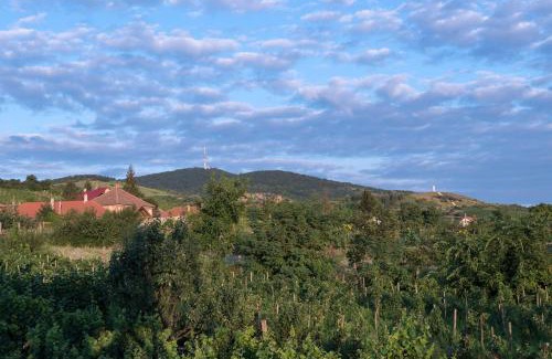 Tarcal Bed & Breakfast | Pataky Borporta