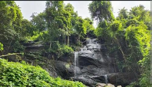 Wadakanchery House | Paul Residence