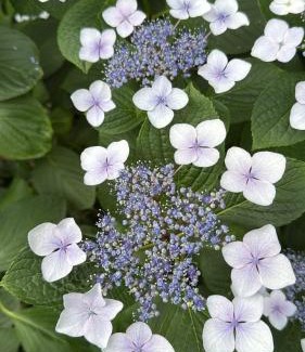 Colonia Apartment | Paulina y Emma - confortable apartamento