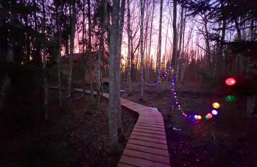 Kose House | Paunküla Nature Resort (forest villa)