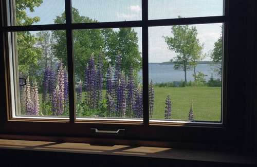 Stockton Springs House | Peace and Quiet on a lovely private property on Penobscot