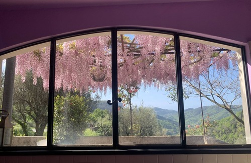 Calice Ligure Apartment | "Peaceful Holiday Home with Garden, Sea View and Historic Roses"