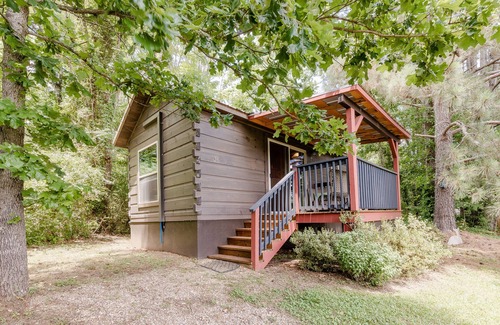 Tryon Cabin | Peaceful, private & serene cabin near wineries, TIEC & outdoor activities