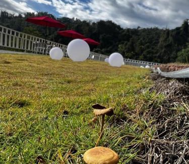 Puli Villa | Peachland