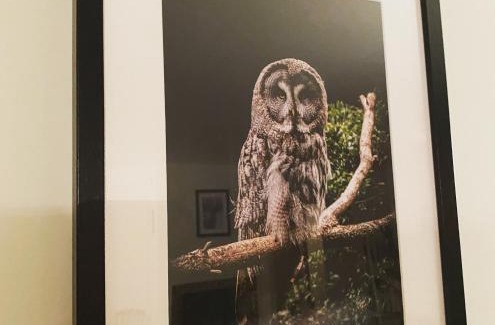 Ziurai Villa | Peledos troba