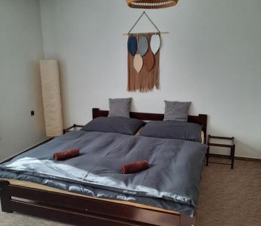 Rejdice Apartment | Pension Aneta