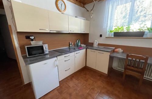 Horska Kvilda House | Pension Hones