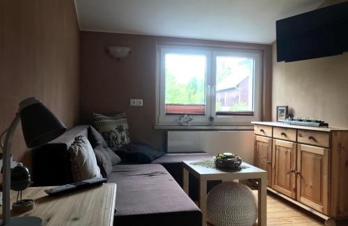 Reichenbach im Vogtland House | Pension Schneidenbach