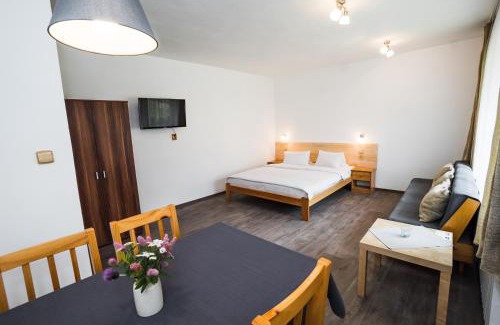 Harrachov Apartment | Pension Simona