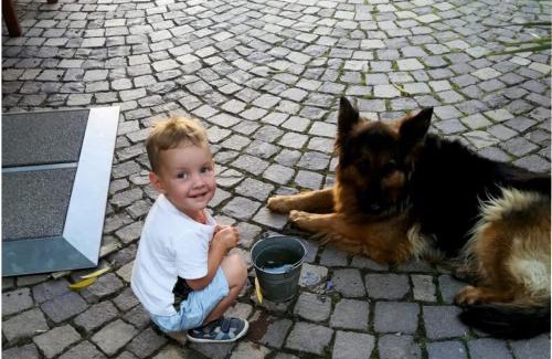 Zeulenroda-Triebes House | Pension Sonnenhof