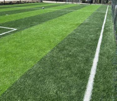 Sugag House | Pensiunea Casa David