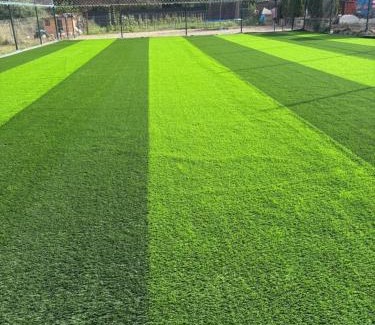 Sugag House | Pensiunea Casa David