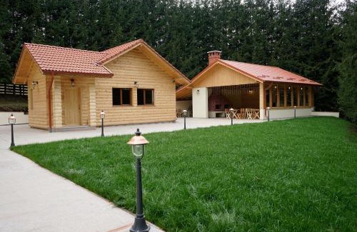 Nucsoara House | Pensiunea Floarea de Colt