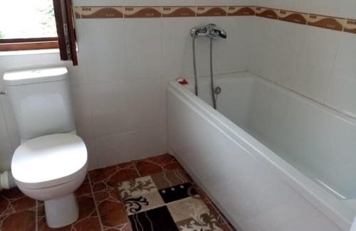 Pojorita House | Pensiunea Gură de Rai, Pojorâta