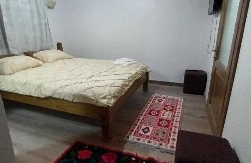 Vadu Izei House | Pensiunea La Gorgan