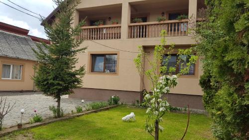 Sieu House | Pensiunea Todorica Sergiu