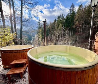 Miedzygorze House | Pensjonat Alpejski Dwór