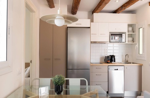 Hostafrancs Apartment | Penthouse Apartment with terrace