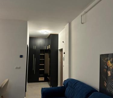 Sebes Apartment | Penthouse Atmosphere Sebeş