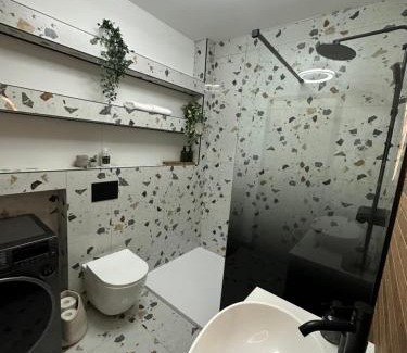 Sebes Apartment | Penthouse Atmosphere Sebeş