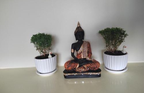 Visakhapatnam Apartment | Penthouse RK Beach