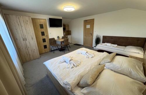 Stara Lesna House | Penzión Čikovský