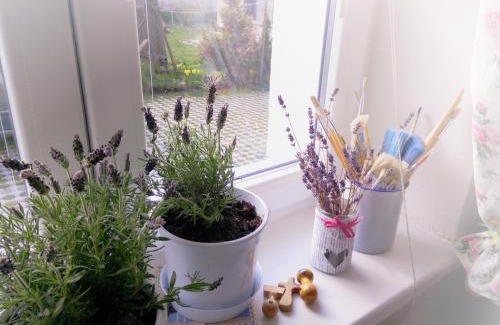 Nova Lesna House | Penzión Belvia