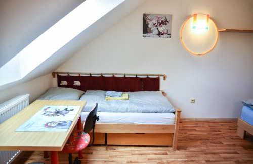 Cesky Rudolec House | Penzion Čas