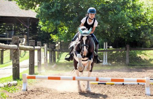 Lechovice House | Penzion Horse Farm Lechovice