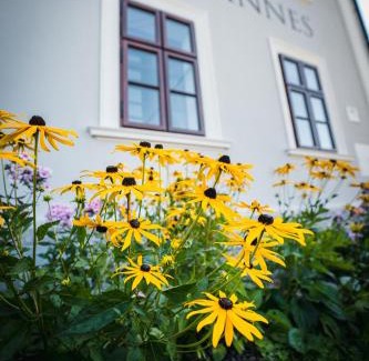 Stara Ves Apartment | Penzion Johannes, Rýmařov - Stará Ves