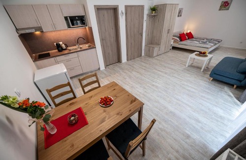 Trebon House | Penzion Kamenný dvůr