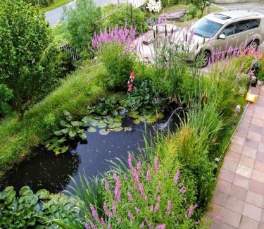 Srbsko Apartment | Penzion Lida