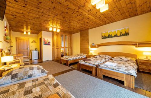 Nova Lesna House | Penzion Tri klasy