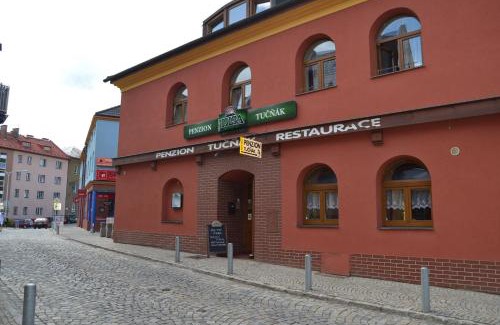 Zabreh House | Penzion Tučňák