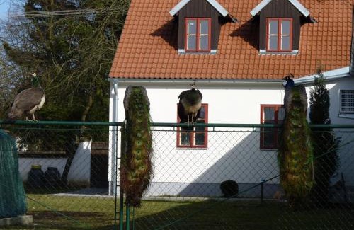 Pistina House | Penzion U Houšků