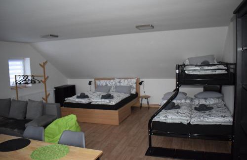 Velke Losiny Apartment | Penzion Víra