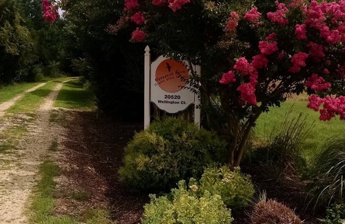 Coltons Point House | Perfect location rental for quiet vacation get away or writer's paradise.